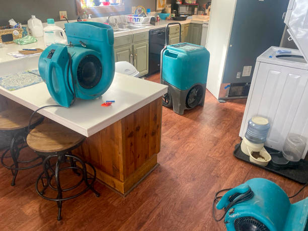 Best 24-hour water damage restoration  in Broxton, GA