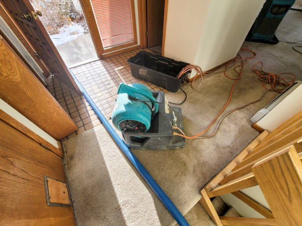 Best Local water damage restoration  in Broxton, GA