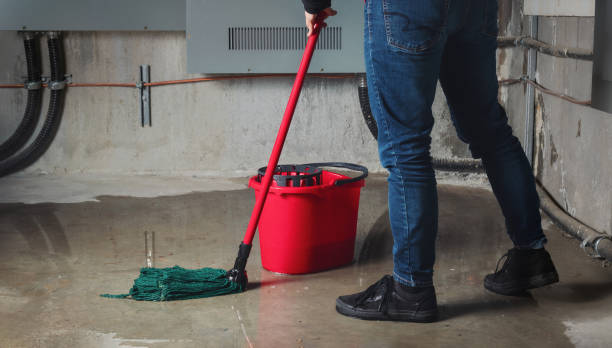 Best Ceiling water damage repair  in Broxton, GA