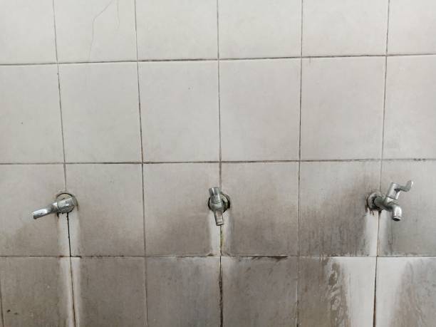Best Sewage cleanup and water damage restoration  in Broxton, GA
