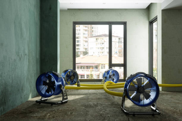 Best Water damage restoration company  in Broxton, GA